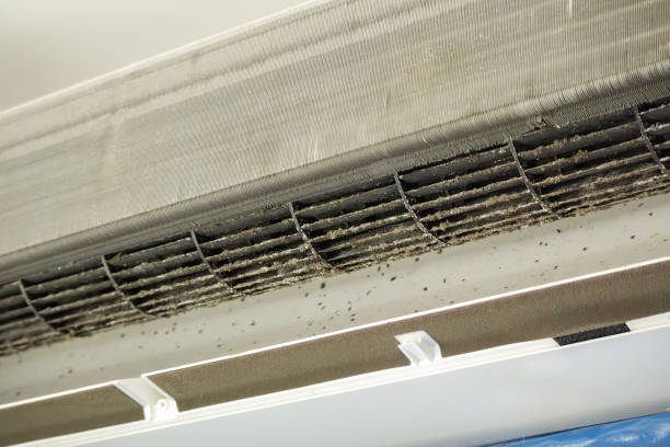 Trusted Dike, IA Airduct Cleaning Experts