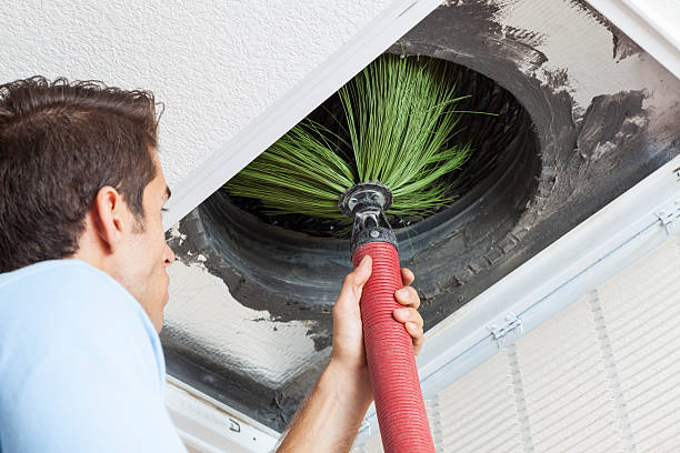 Best Affordable Duct Cleaning Services  in Dike, IA